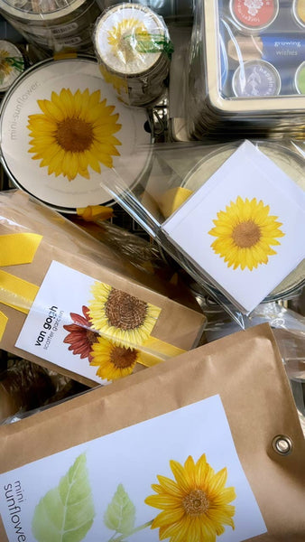 Scatter Garden | Van Gogh Sunflowers | Best Seller: Van Gogh Sunflower - Lulu Bella Boutique