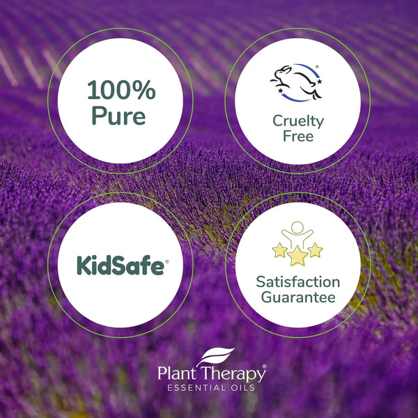 Lavender Essential Oil Pre-Diluted Roll-On - Lulu Bella Boutique