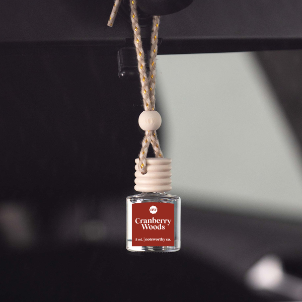 Car Diffusers | Holiday Scents: Individual Mylar Bag / Christmas Cheer - Lulu Bella Boutique