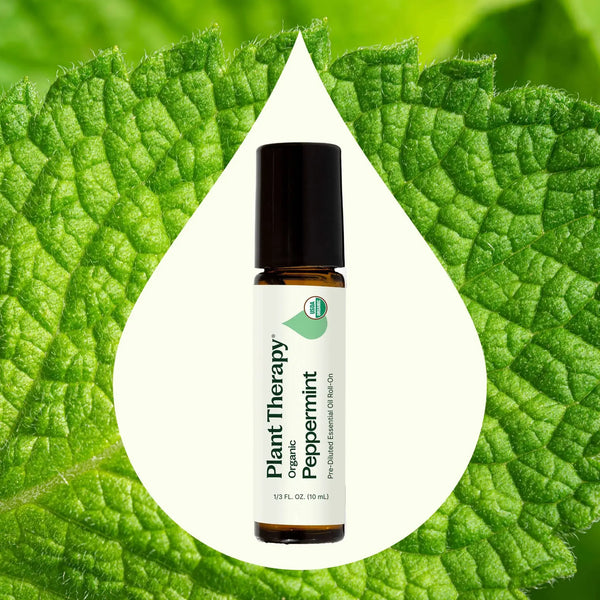 Organic Peppermint Roll On 10 mL - Lulu Bella Boutique