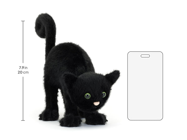 Spookipaws Cat - Lulu Bella Boutique