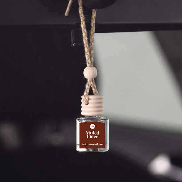 Car Diffusers | Holiday Scents: Individual Mylar Bag / Christmas Cheer - Lulu Bella Boutique