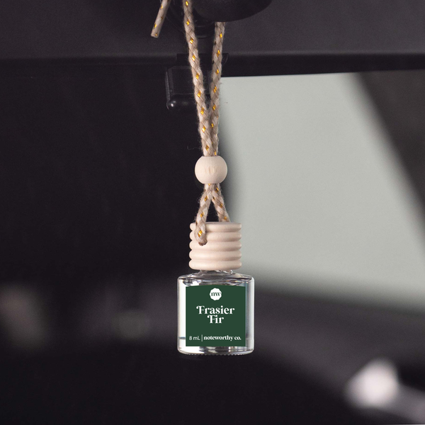 Car Diffusers | Holiday Scents: Individual Mylar Bag / Christmas Cheer - Lulu Bella Boutique