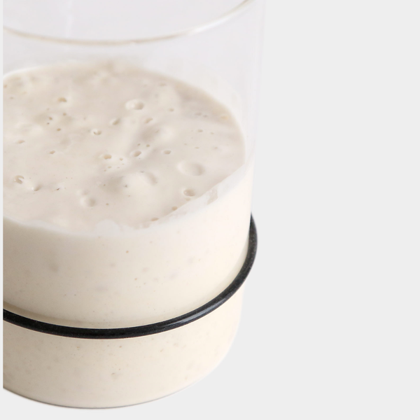 Breadtopia Sourdough Starter Kit with Jar and Tools - Lulu Bella Boutique