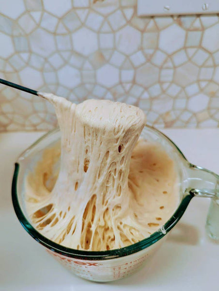 Organic, Non-GMO Sourdough Starter | Freeze Dried |  12gm