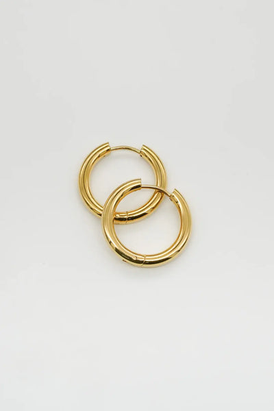 Gold Hoops