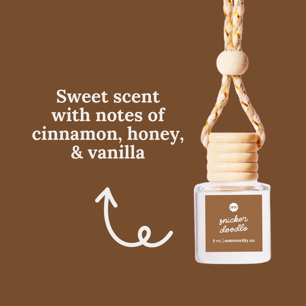 Car Diffusers | NEW Holiday Scents: Individual Mylar Bag / Mulled Cider