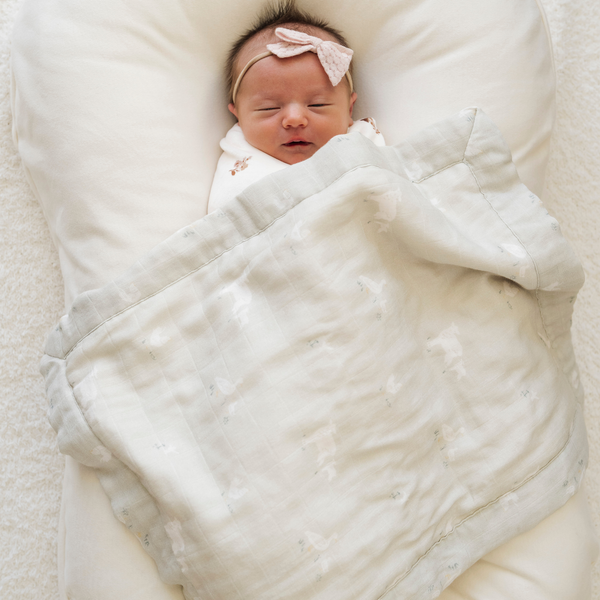 TORI HALFORD BAMBOO RAYON MUSLIN/LUSH BLANKETS: Boone / Receiving