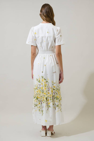 Bliss Field Janey Poplin Maxi Dress: Ivory Multi / S - Lulu Bella Boutique