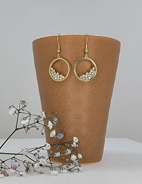 Circle Fill With Stones Hook Earring: Gold