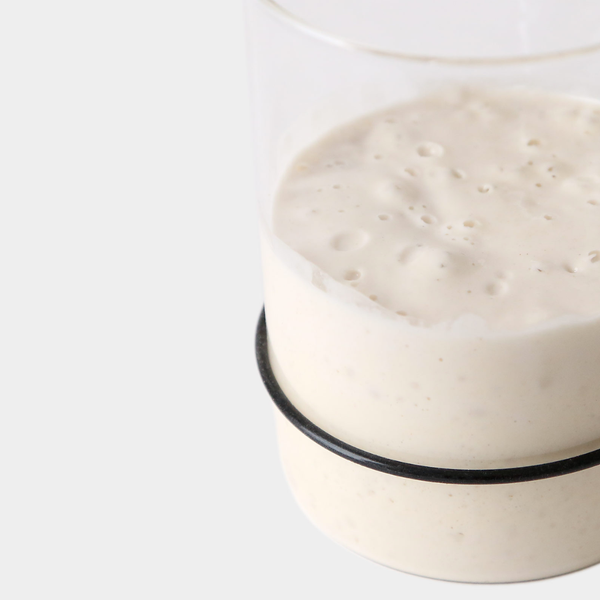 Breadtopia Sourdough Starter Jar - Lulu Bella Boutique