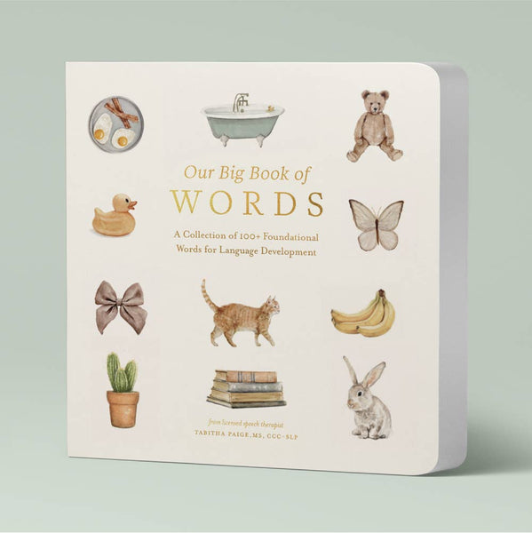 Our Big Book Of First Words - Lulu Bella Boutique