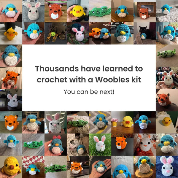 Pierre the Penguin Beginner Crochet Kit - Lulu Bella Boutique