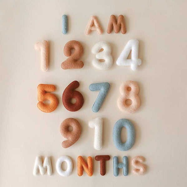 Monthly Milestone Felt Letters - Neutral - Lulu Bella Boutique