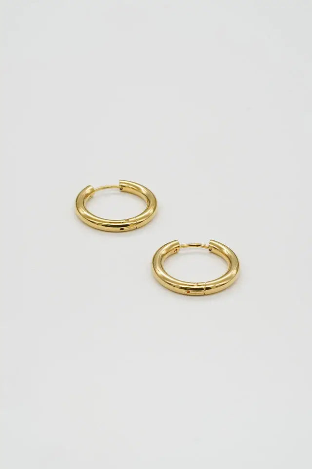 Gold Hoops