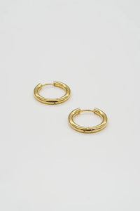 Gold Hoops