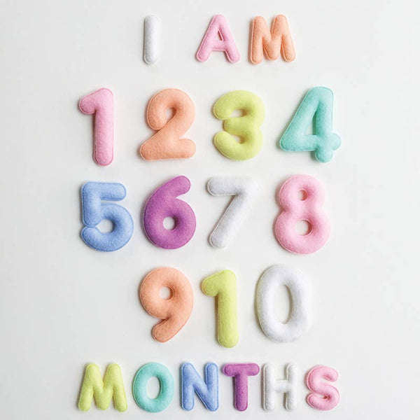 Monthly Milestone Felt Letters - Pastel - Lulu Bella Boutique