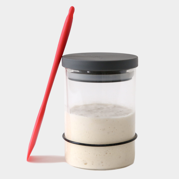 Breadtopia Sourdough Starter Kit with Jar and Tools - Lulu Bella Boutique