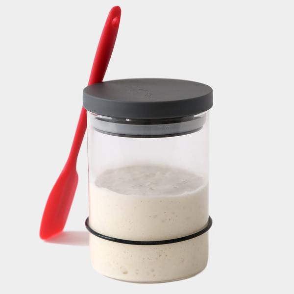 Breadtopia Sourdough Starter Kit with Jar and Tools - Lulu Bella Boutique