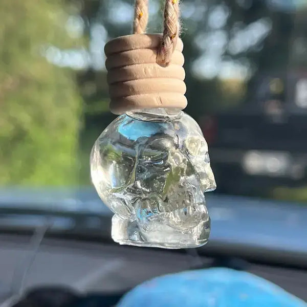 Radiance Car Freshener Diffuser: Vent Clip Diffusre - Lulu Bella Boutique