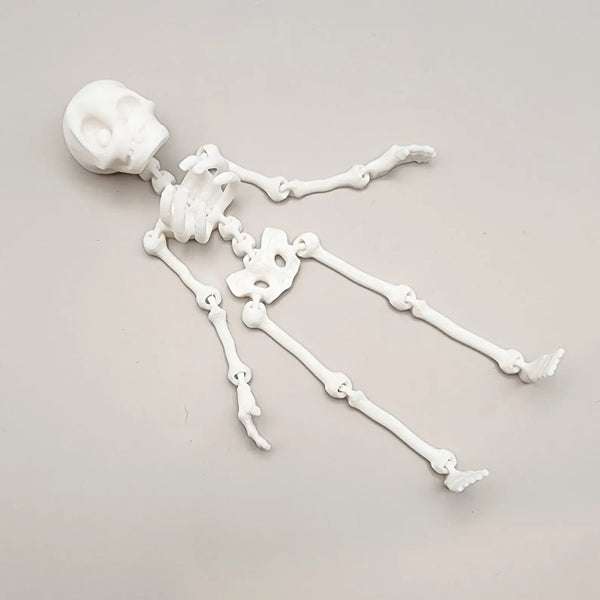 Articulated Skeleton, Halloween Decoration, Halloween Toy: White / Regular - 5" - Lulu Bella Boutique