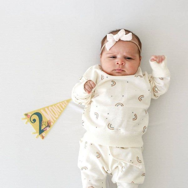 Little Artist Baby Milestone Pennant - Lulu Bella Boutique