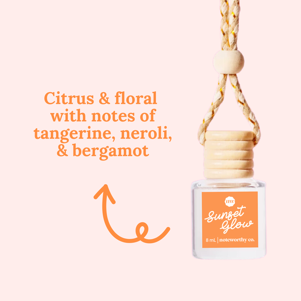 Salt Air Spring & Summer Car Diffusers | 8mL