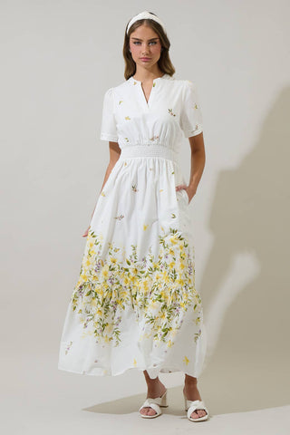 Bliss Field Janey Poplin Maxi Dress: Ivory Multi / XS