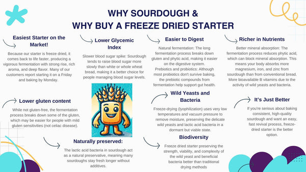 Organic, Non-GMO Sourdough Starter | Freeze Dried |  12gm