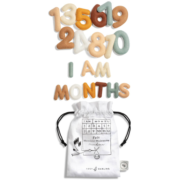 Monthly Milestone Felt Letters - Neutral - Lulu Bella Boutique