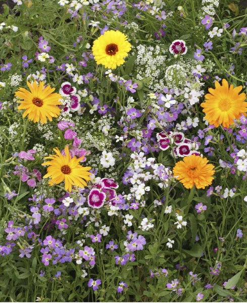 Scatter Garden | Fragrant Flower: Fragrant Flower - Lulu Bella Boutique