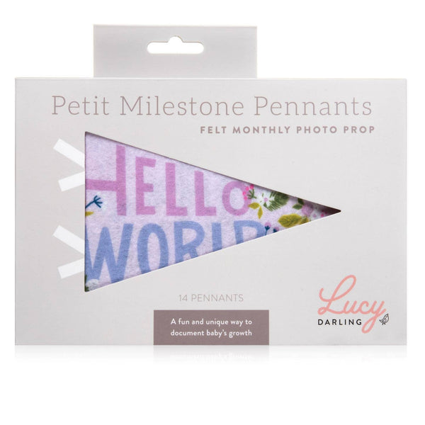 Little Artist Baby Milestone Pennant - Lulu Bella Boutique