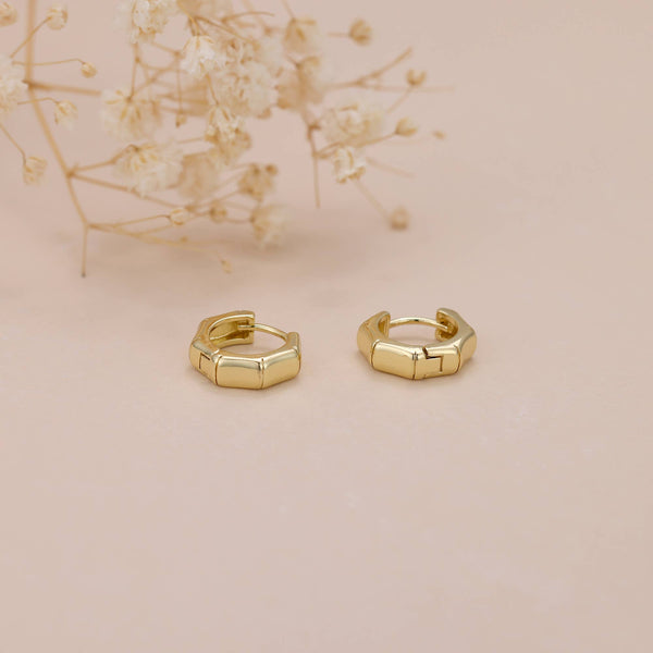 E119 gold hoop earrings, huggie earrings, huggie hoops: Silver