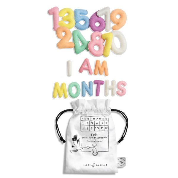 Monthly Milestone Felt Letters - Pastel - Lulu Bella Boutique