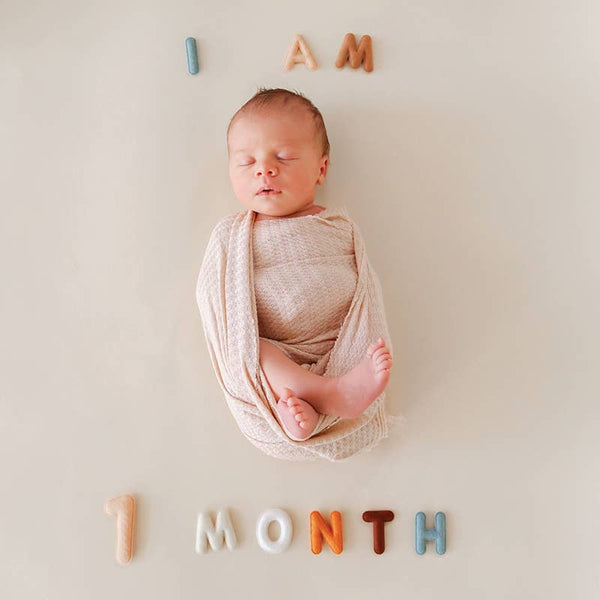 Monthly Milestone Felt Letters - Neutral - Lulu Bella Boutique