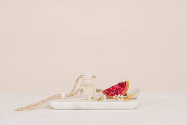 Cactus Flower Car Diffuser – Fresh & Floral: Packaged - Lulu Bella Boutique