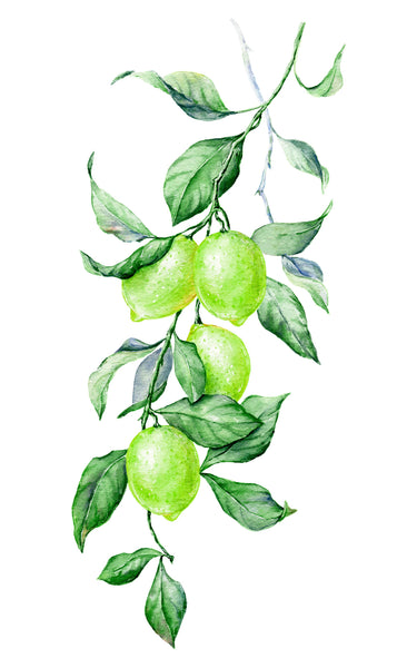 Key Lime Buds: 3oz - Lulu Bella Boutique
