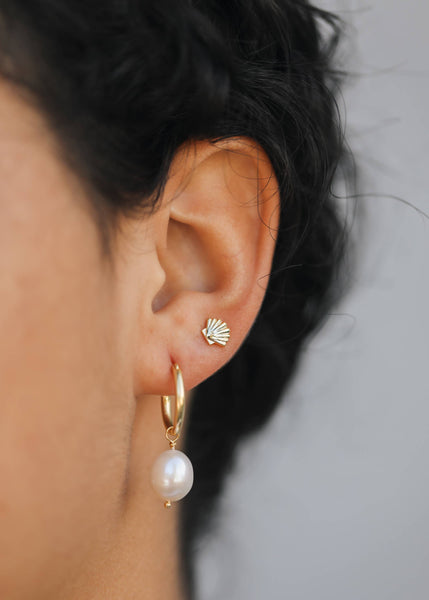 Seashell - Gold Earrings - Lulu Bella Boutique