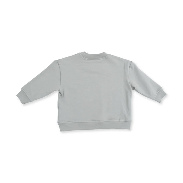 Dino Sweater Set