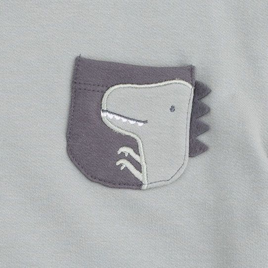 Dino Sweater Set