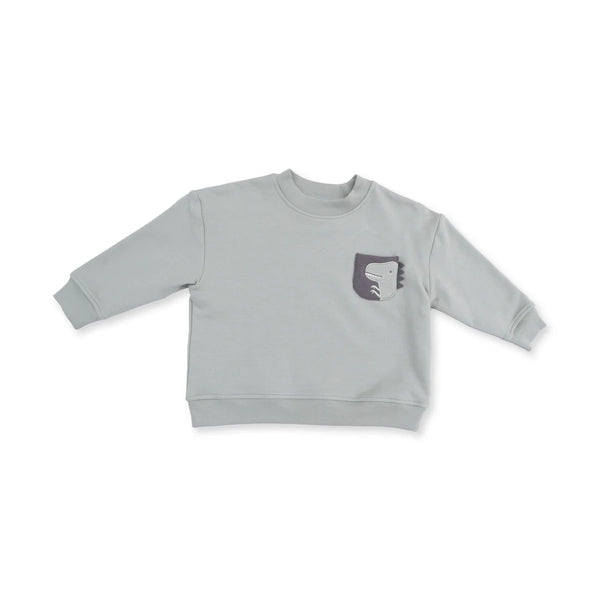 Dino Sweater Set