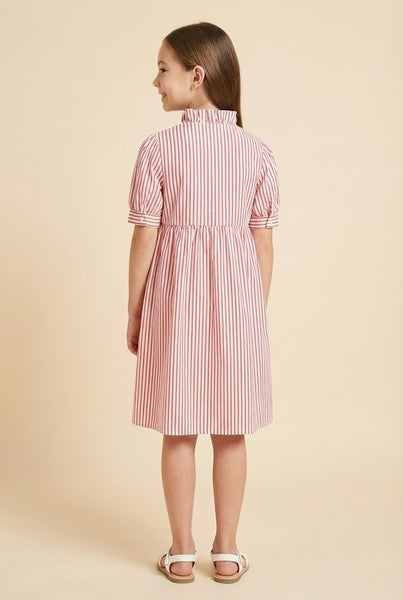 Girls Pinstripe Ruffle Neck Dress - Lulu Bella Boutique