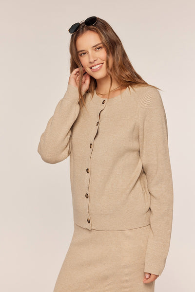 Ribbed Button Sweater Skirt Set