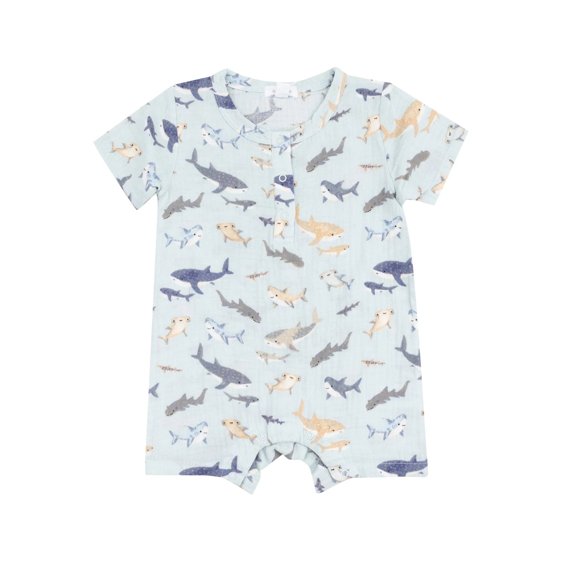 Henley Shortall - Sharks - Lulu Bella Boutique
