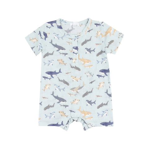 Henley Shortall - Sharks - Lulu Bella Boutique