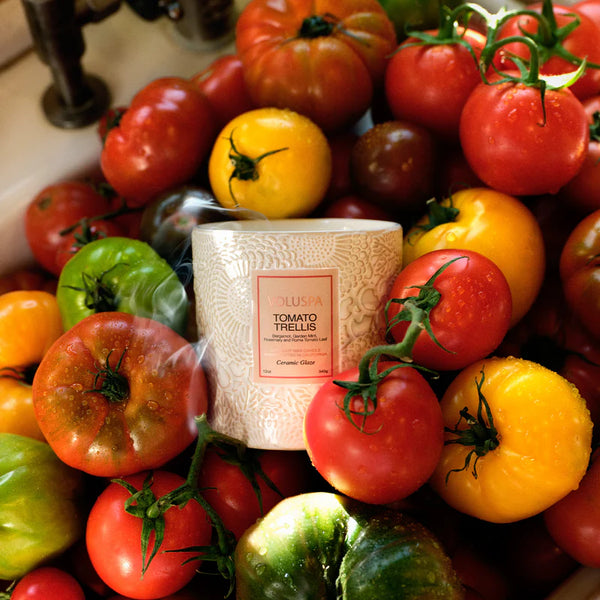 Tomato Trellis Ceramic Luxe Classic Candle