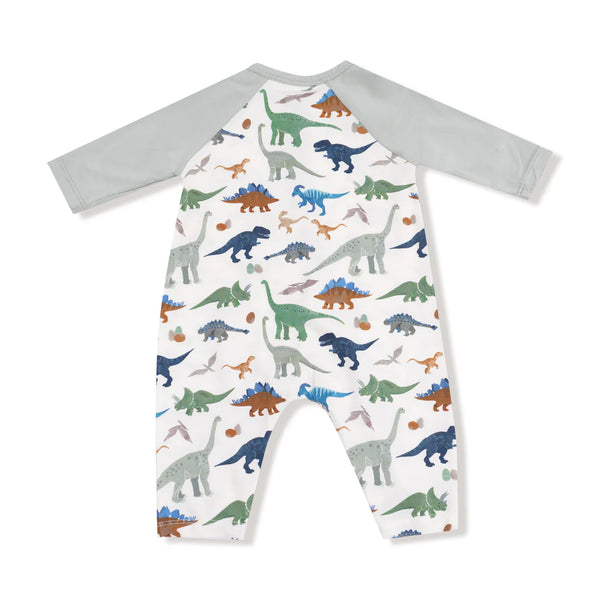 Washy Dinos Long Sleeve Raglan Henley Romper