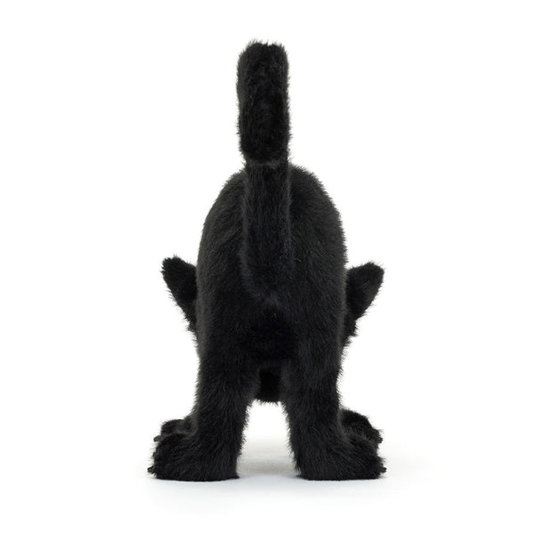 Spookipaws Cat - Lulu Bella Boutique