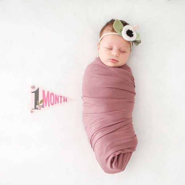 Little Artist Baby Milestone Pennant - Lulu Bella Boutique