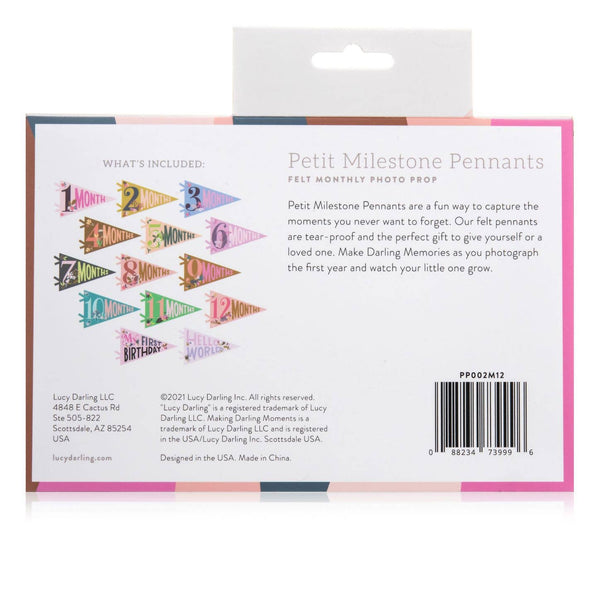 Little Artist Baby Milestone Pennant - Lulu Bella Boutique
